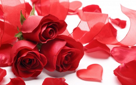 Douzaines roses rouges douzaines roses roses boite ou vase